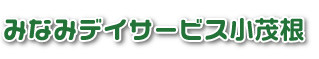 みなみ デイサービス小茂根