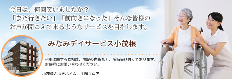 みなみ デイサービス小茂根